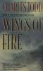 Wings of Fire book cover