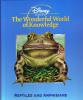 Reptiles and Amphibians cover picture