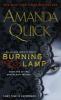 Burning Lamp cover picture