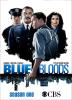 Blue Bloods Season 1 cover picture